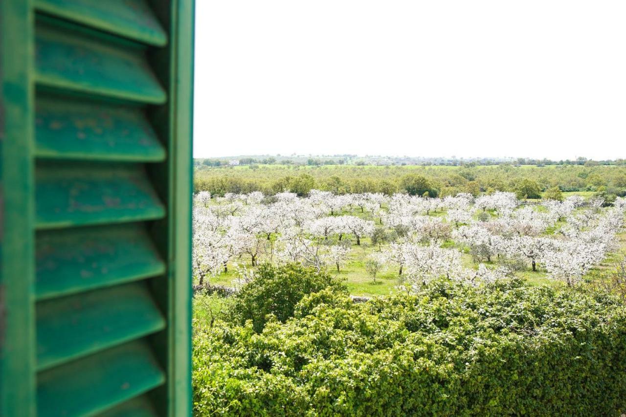 Masseria Guadiano Vecchio Santa Lucia  Zewnętrze zdjęcie
