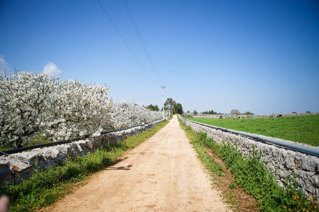 Masseria Guadiano Vecchio Santa Lucia  Zewnętrze zdjęcie