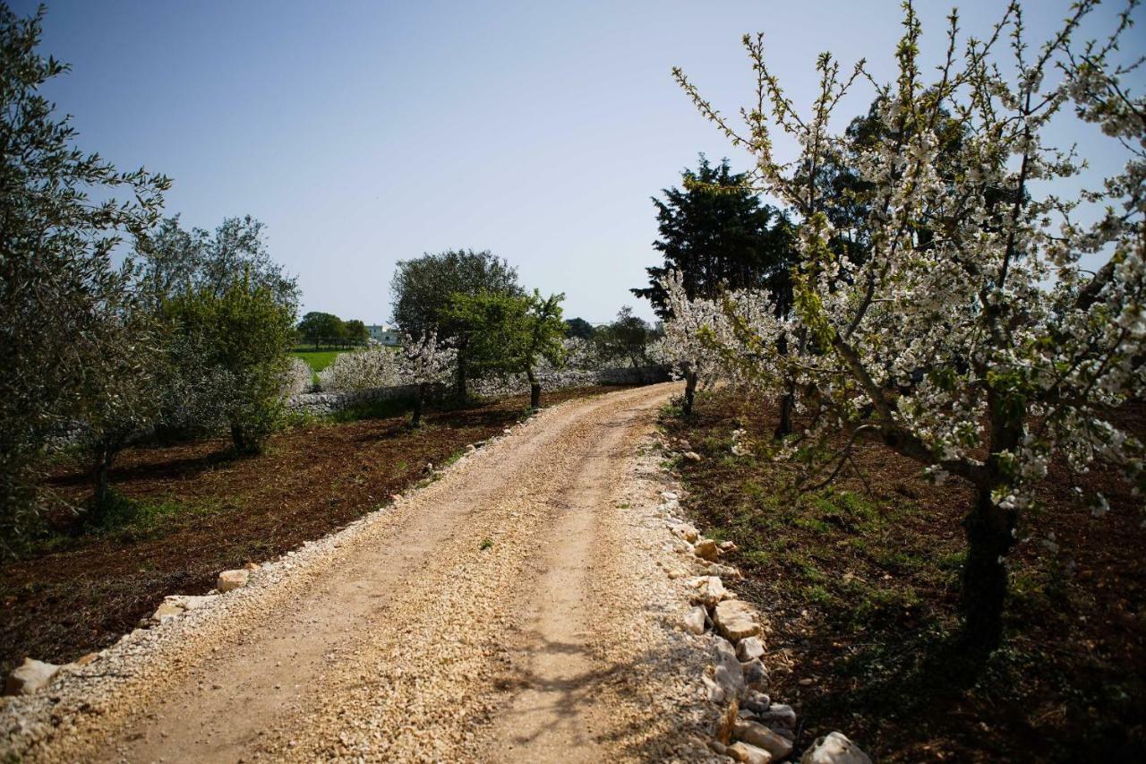 Masseria Guadiano Vecchio Santa Lucia  Zewnętrze zdjęcie