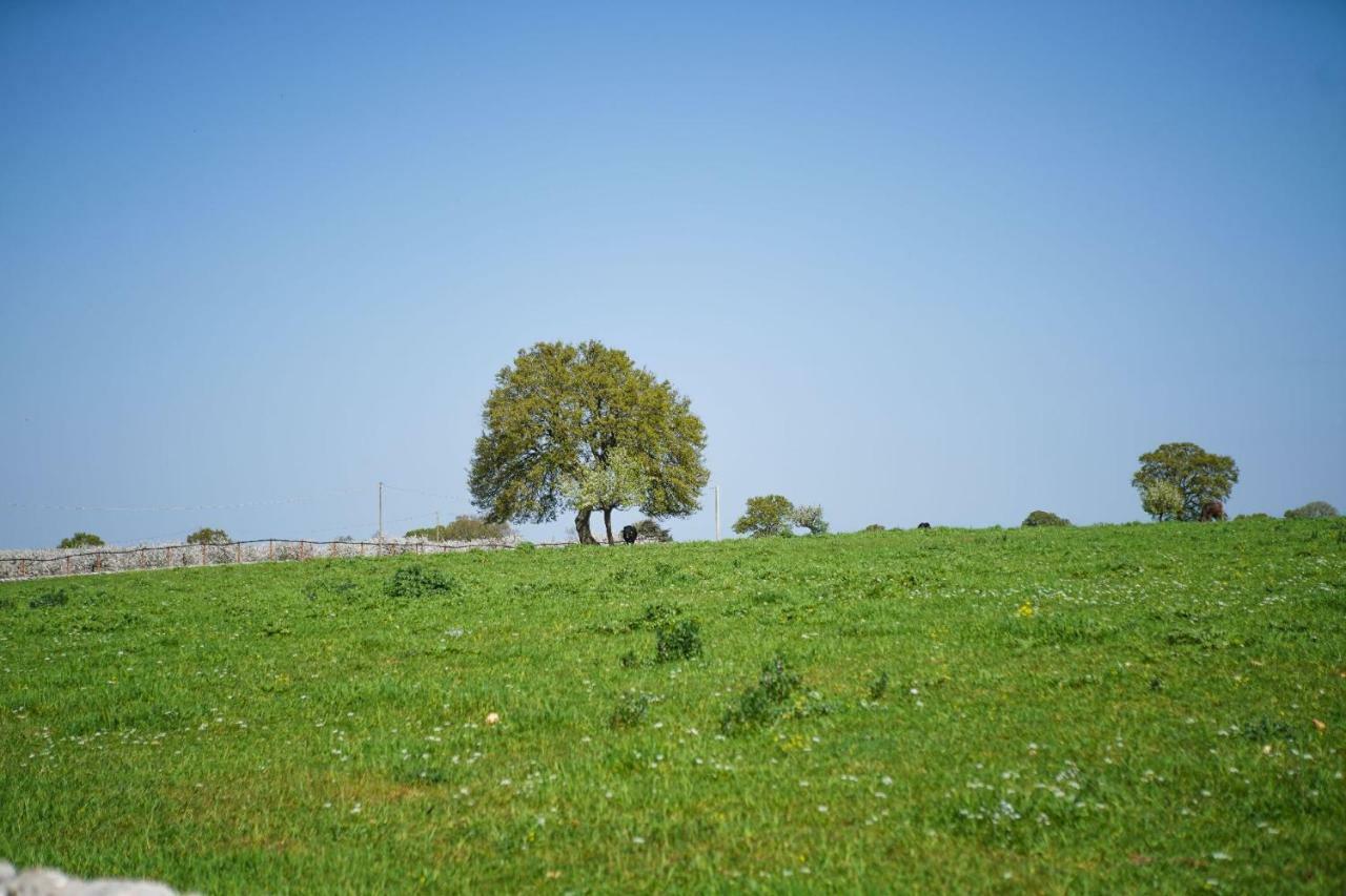 Masseria Guadiano Vecchio Santa Lucia  Zewnętrze zdjęcie